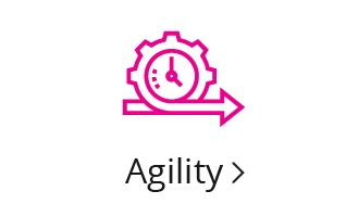 Agility Icon