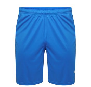 ElmBridge Soccer school shorts